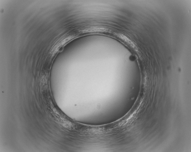 X0000059080937200510211538