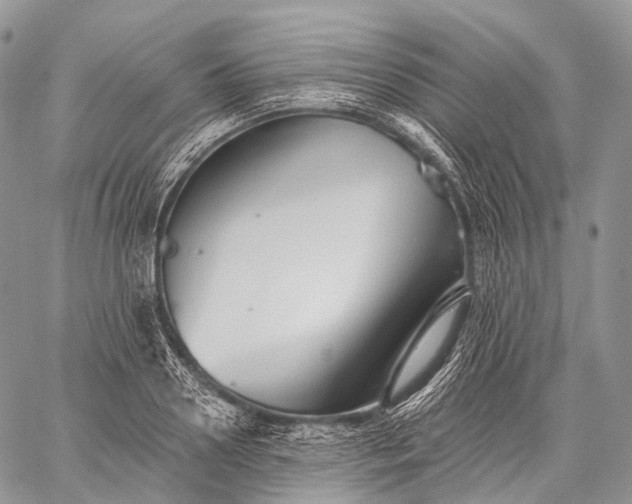 X0000059080938200510211538