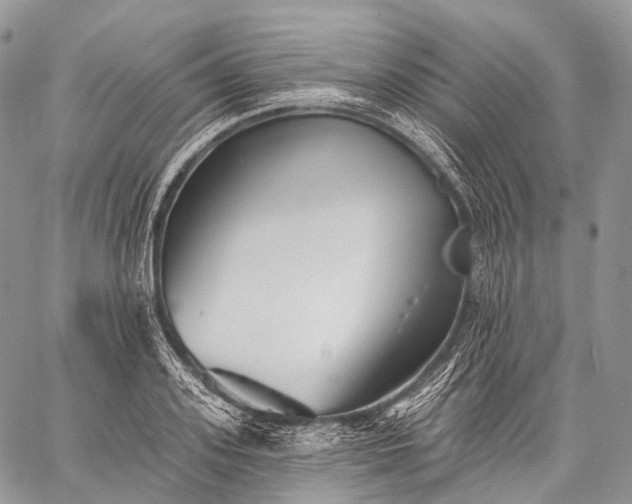 X0000059080939200510211538