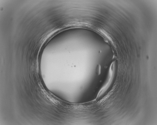 X0000059080940200510211538