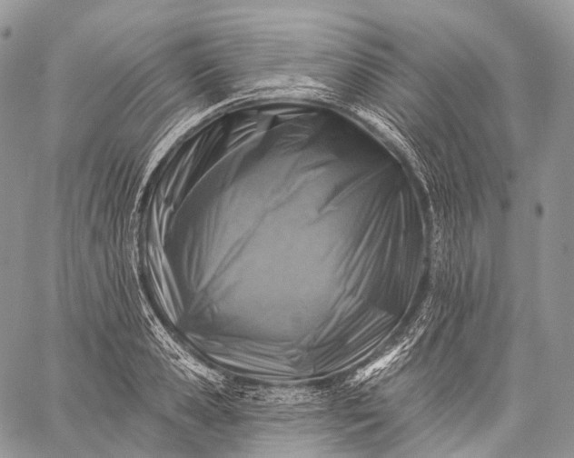 X0000059080941200510211538