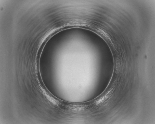 X0000059080942200510211538