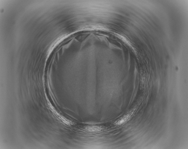 X0000059080943200510211538