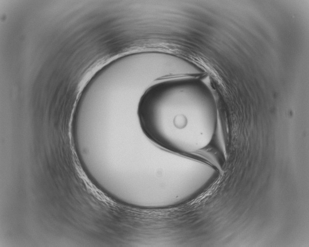 X0000059080944200510211538