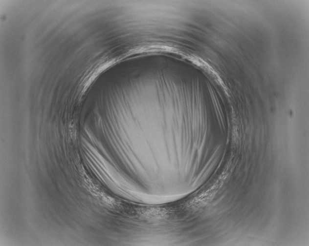 X0000059080945200510211538