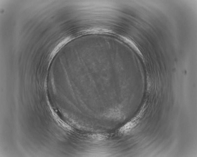 X0000059080946200510211538