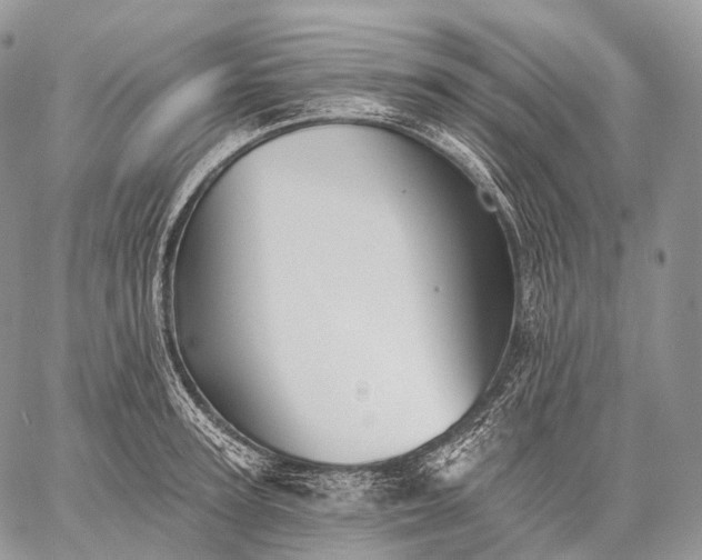 X0000059080947200510211538