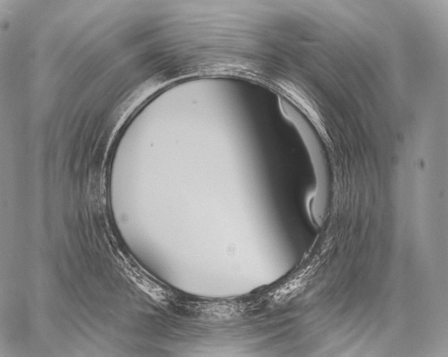 X0000059080948200510211538