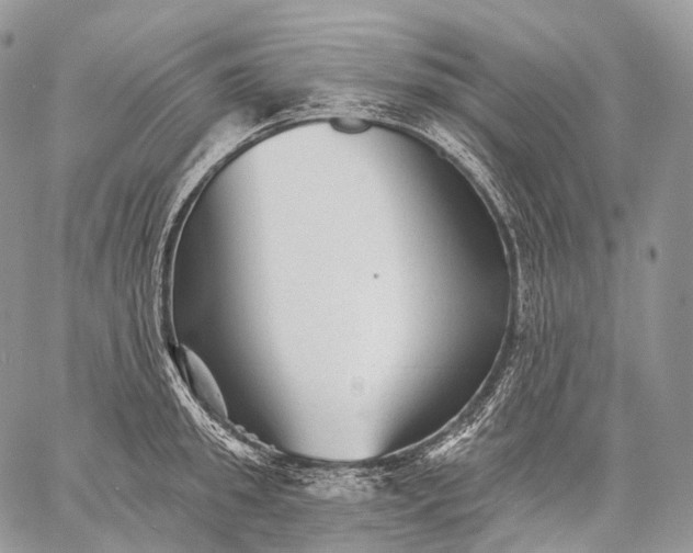 X0000059080949200510211538