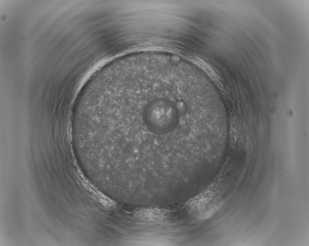 X0000059080950200510211538