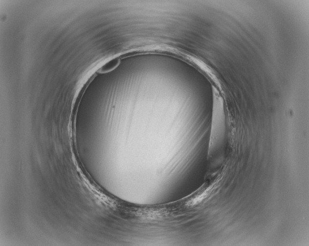 X0000059080951200510211538