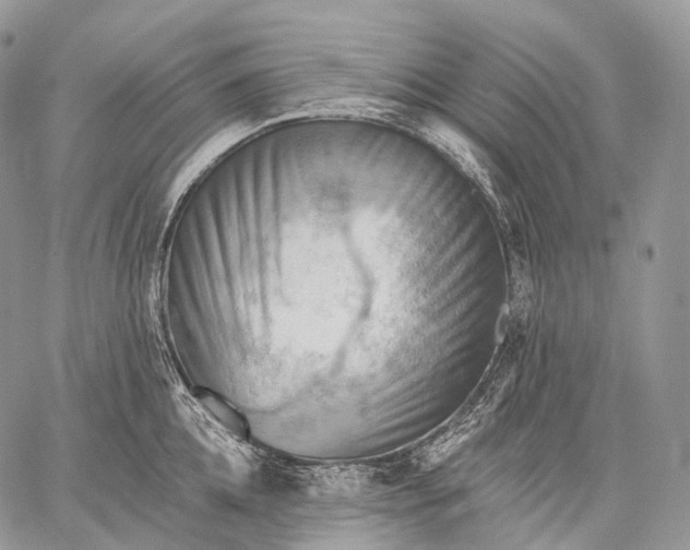 X0000059080952200510211538