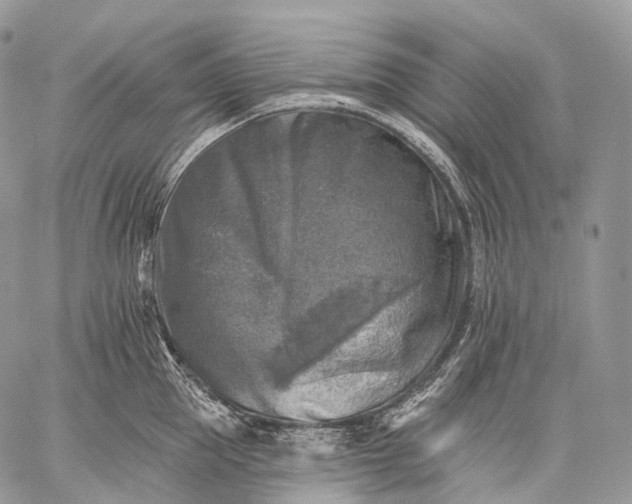 X0000059080953200510211538