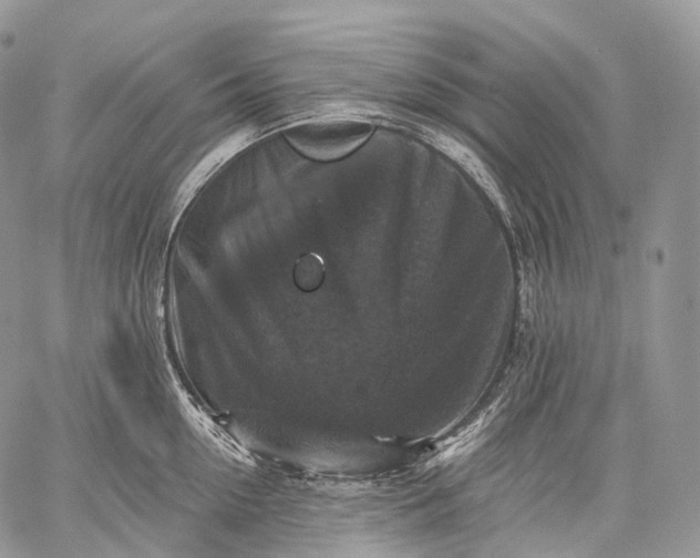 X0000059080954200510211538