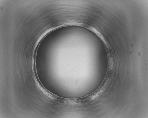 X0000059080955200510211538