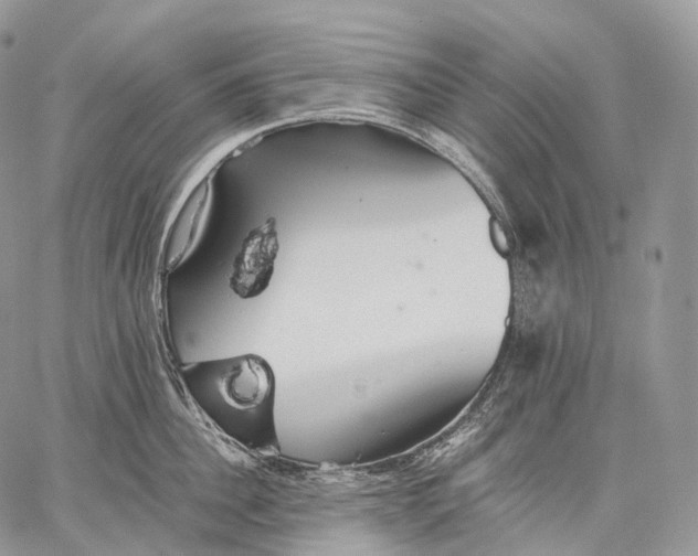 X0000059080956200510211538