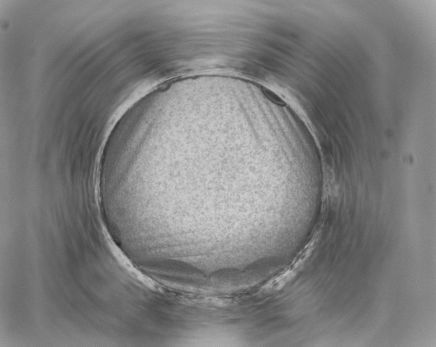 X0000059080957200510211538