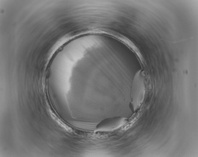 X0000059080958200510211538