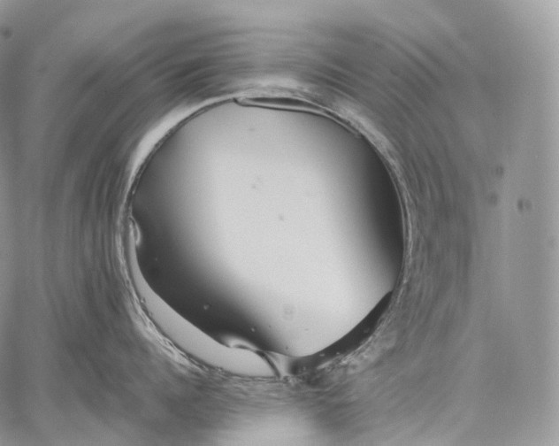 X0000059080960200510211539