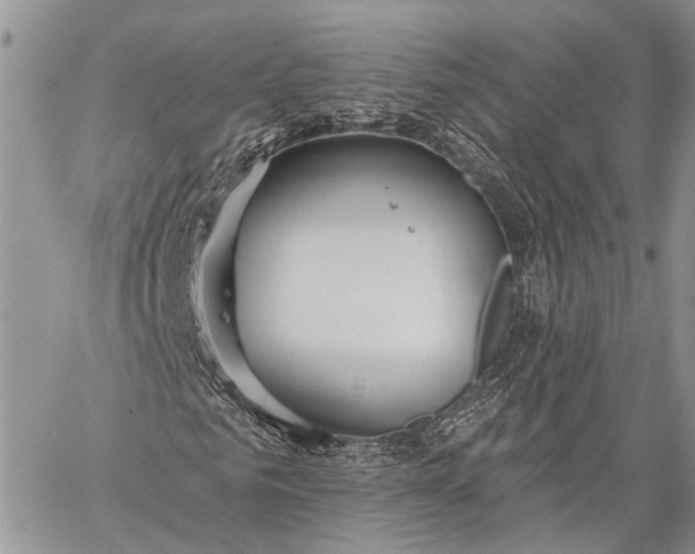 X0000059080961200510211538