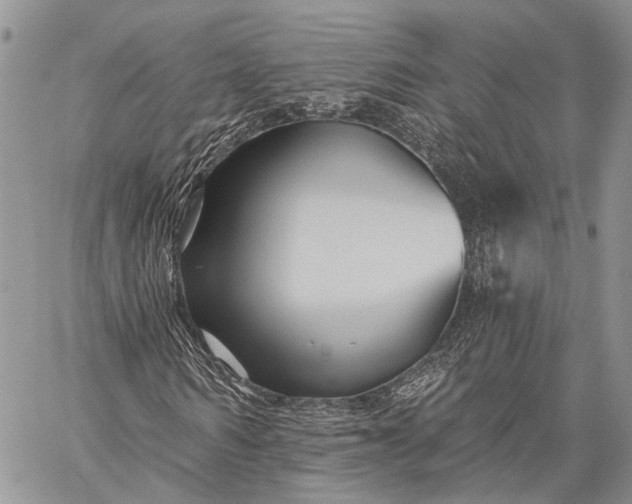 X0000059080962200510211538