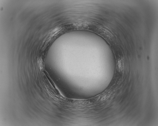 X0000059080963200510211538