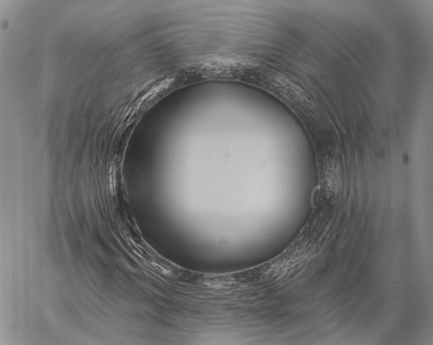 X0000059080964200510211538