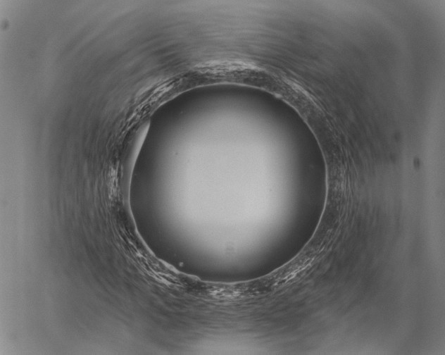 X0000059080965200510211538