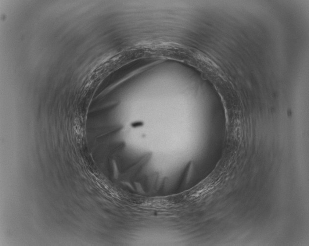 X0000059080966200510211538