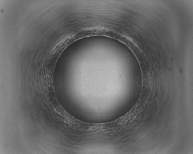 X0000059080967200510211538