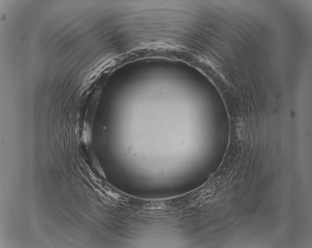 X0000059080968200510211538