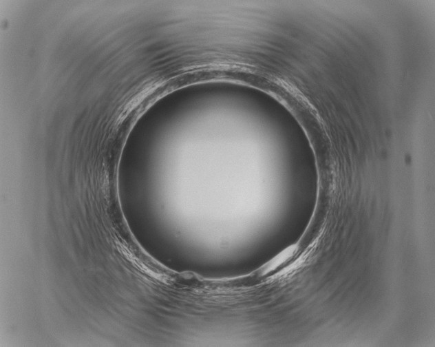 X0000059080969200510211538