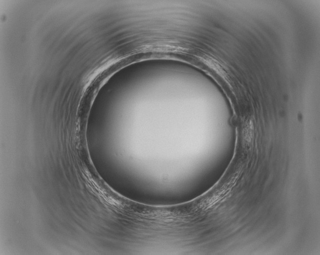 X0000059080971200510211538