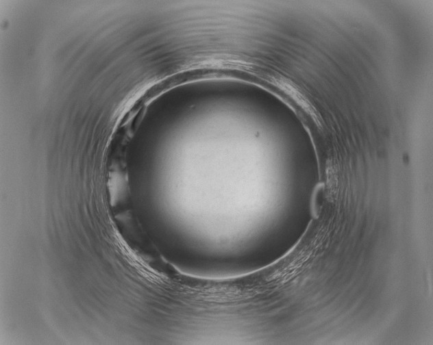 X0000059080972200510211538