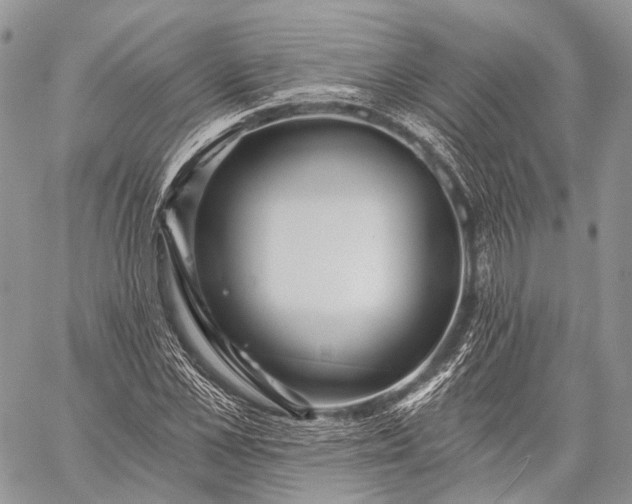 X0000059080973200510211538