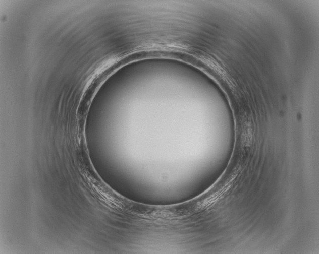 X0000059080974200510211538