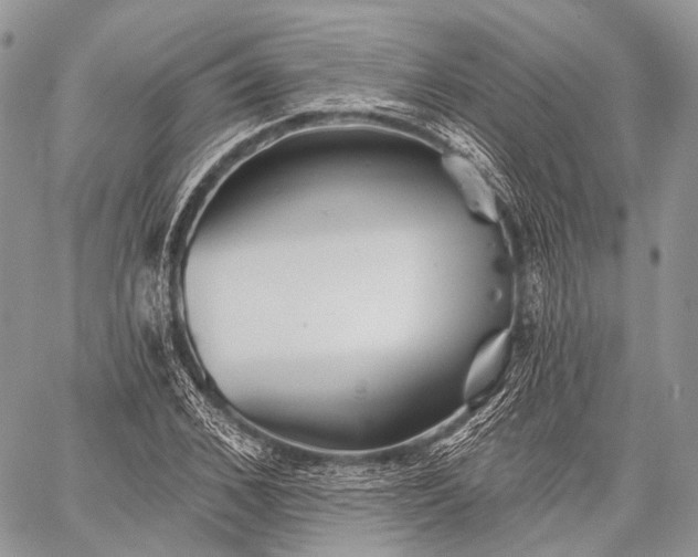 X0000059080976200510211537