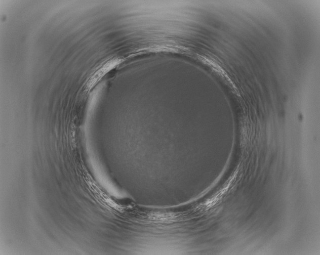 X0000059080977200510211537