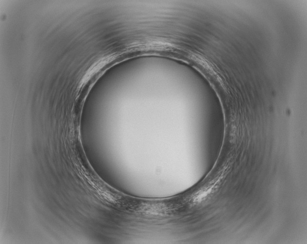 X0000059080978200510211537