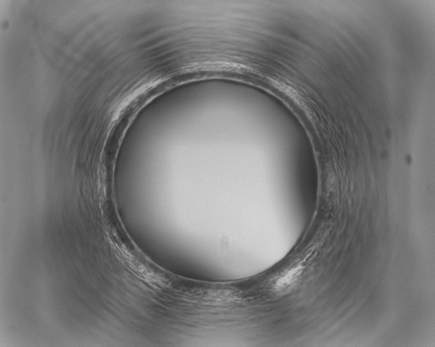 X0000059080979200510211537