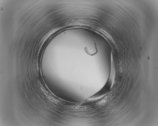 X0000059080980200510211537