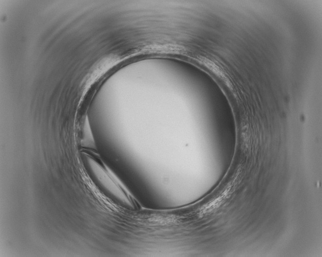 X0000059080981200510211537