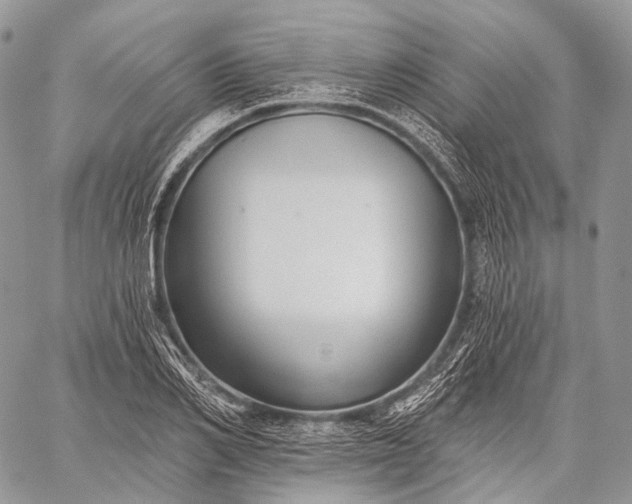 X0000059080982200510211537