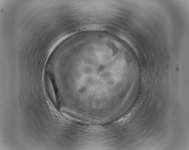 X0000059080983200510211537