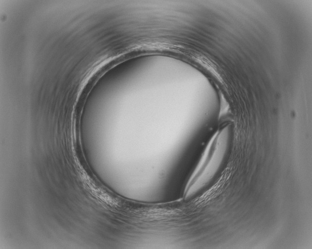 X0000059080984200510211537