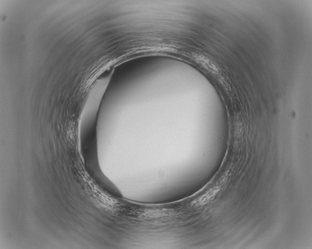 X0000059080985200510211537