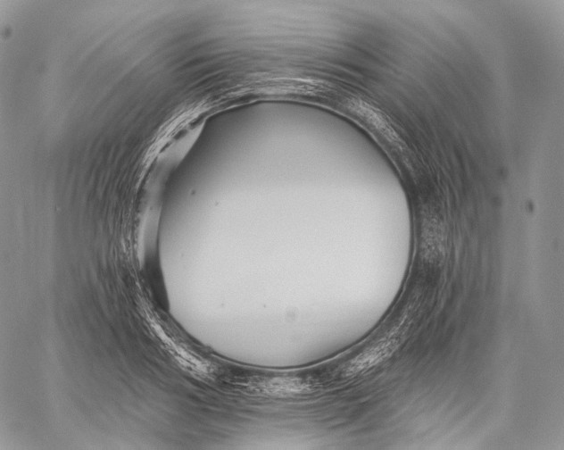 X0000059080986200510211537