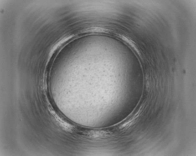 X0000059080987200510211537