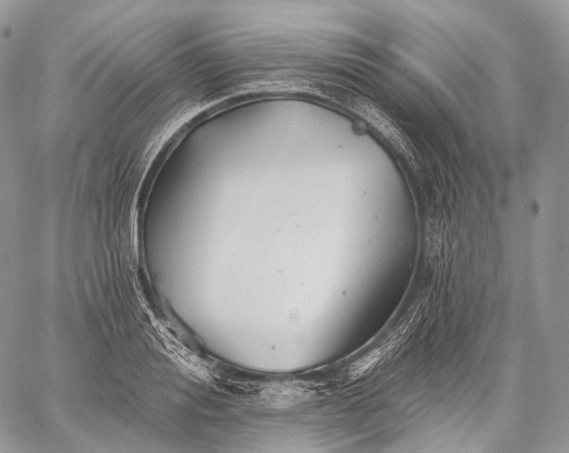 X0000059080988200510211537