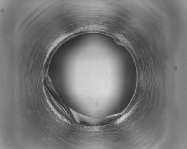 X0000059080989200510211537